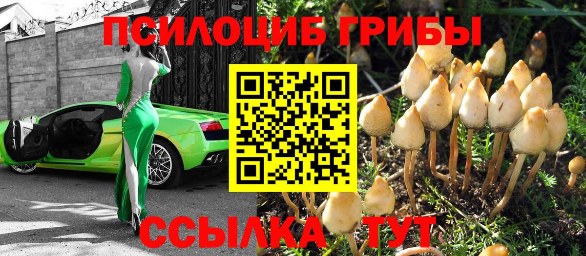 Галлюциногенные грибы GOLDEN TEACHER  Галлюциногенные грибы Psilocybe  Дубна  Вход с VPN 