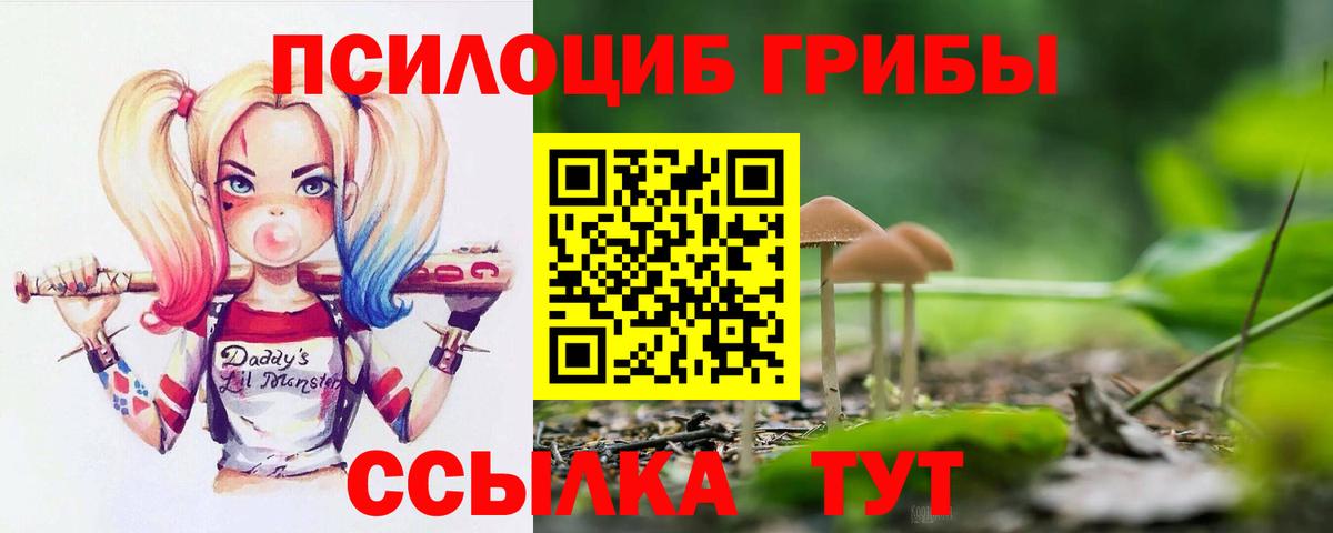 Псилоцибиновые грибы Psilocybine cubensis Дубна
